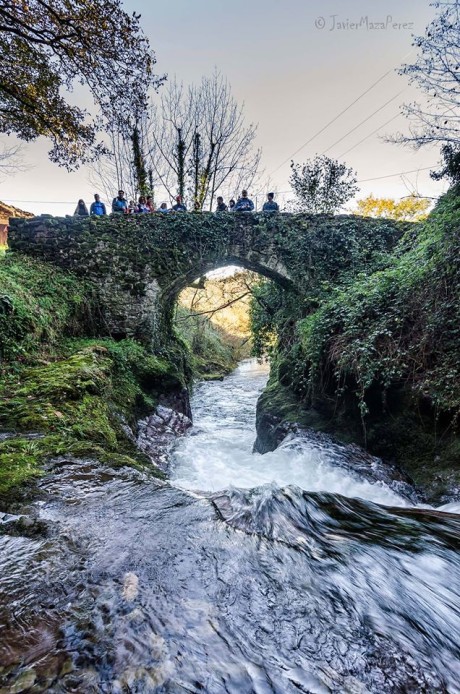 12273554_885761408187350_8095232089843996587_o