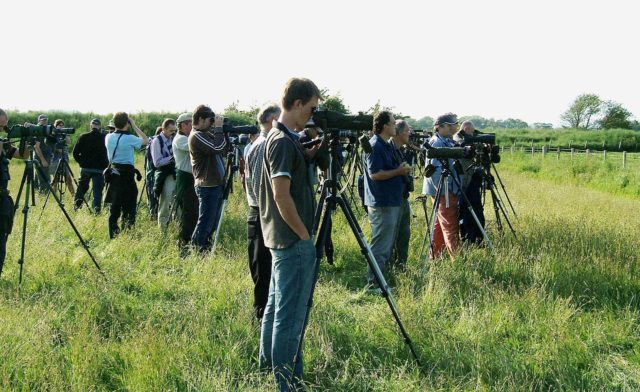 "Pajareros" durante una observación de aves