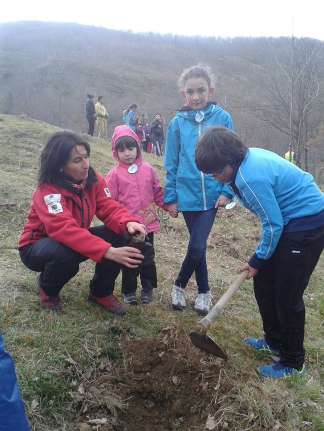 13000167_1025795467487031_1216913926544949706_n