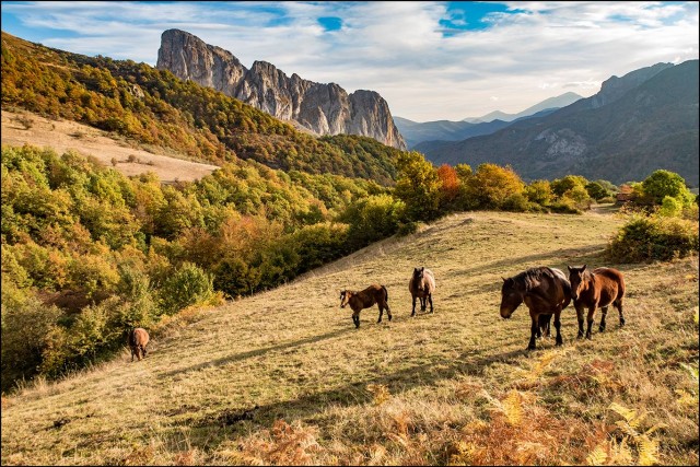 Fotografía de Antonio Pérez
