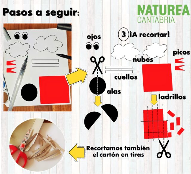 construye-nido-cigüeña