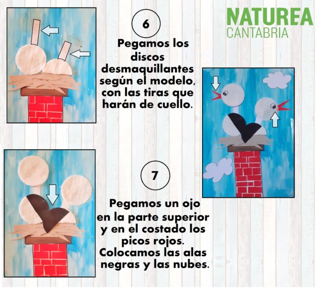 construye-nido-cigüeña