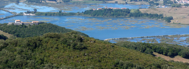 Aspecto general del encinar del Monte Buciero
