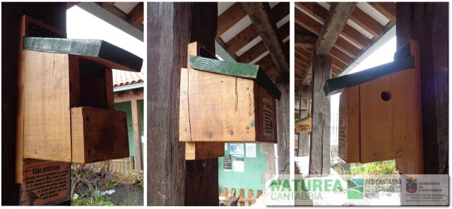De izquierda a derecha, caja nido para petirrojo, zorzal y mirlo (túrdidos), caja nido para murciélagos, y caja nido para carboneros y herrerillos (páridos). Creadas dentro del proyecto “Escuela de Manejo Avanzado del Monte” promovida por el Ayto. de Campoo de Yuso. Más info: http://www.campoodeyuso.com/manejo-del-bosque.html
