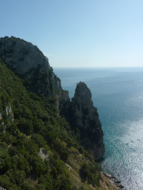 Encinar creciendo en el cantilado de la Punta del Fraile