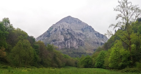 Hábitat idóneo para muchas de las especies que habitan los Valles Pasiegos