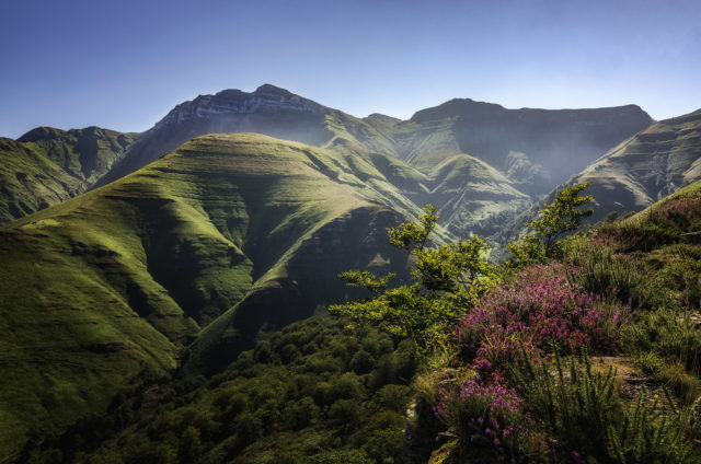 Javier Maza Pérez - Verdes Valles