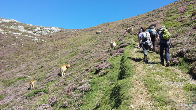 Ruta guiada e interpretada en el Alto Asón, en concreto se trata de la subida al Porrón de Busturejo.