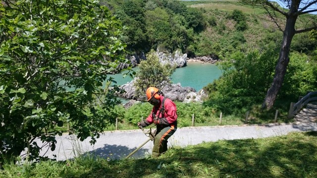 Limpieza de sendero el PN de las Marismas de Santoña, Victoria y Joyel