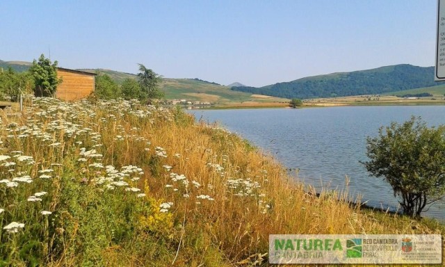 Zonas de flores silvestres y pradera encharcada.