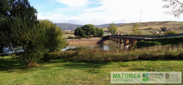Zonas de flores silvestres y pradera encharcada.