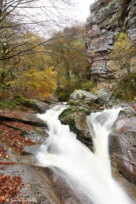 RNF Cabeceras del Saja