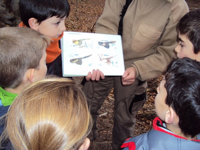 Visita_al_Parque_Natural_Saja-Besaya_(16)-1