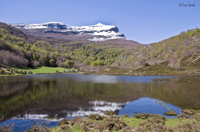 Poljé de Brenarroman. Mayo de 2013.
