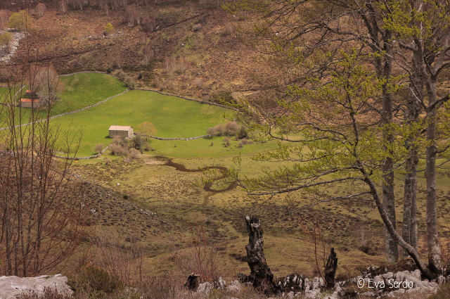 Vista de Brenarroman desde la ruta de Bustalveinte. Mayo de 2016.