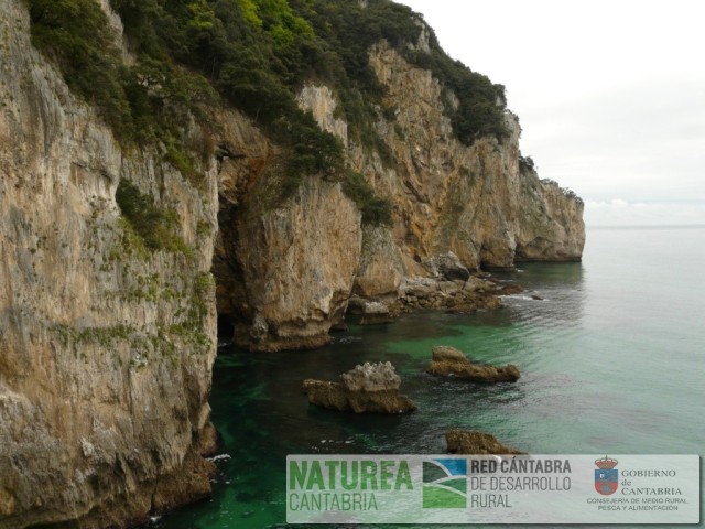 Foto 8. Área de cría en el monte Buciero y posaderos en la parte baja de los acantilados