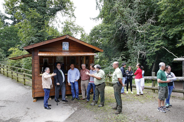 webmedio rural_sequioas